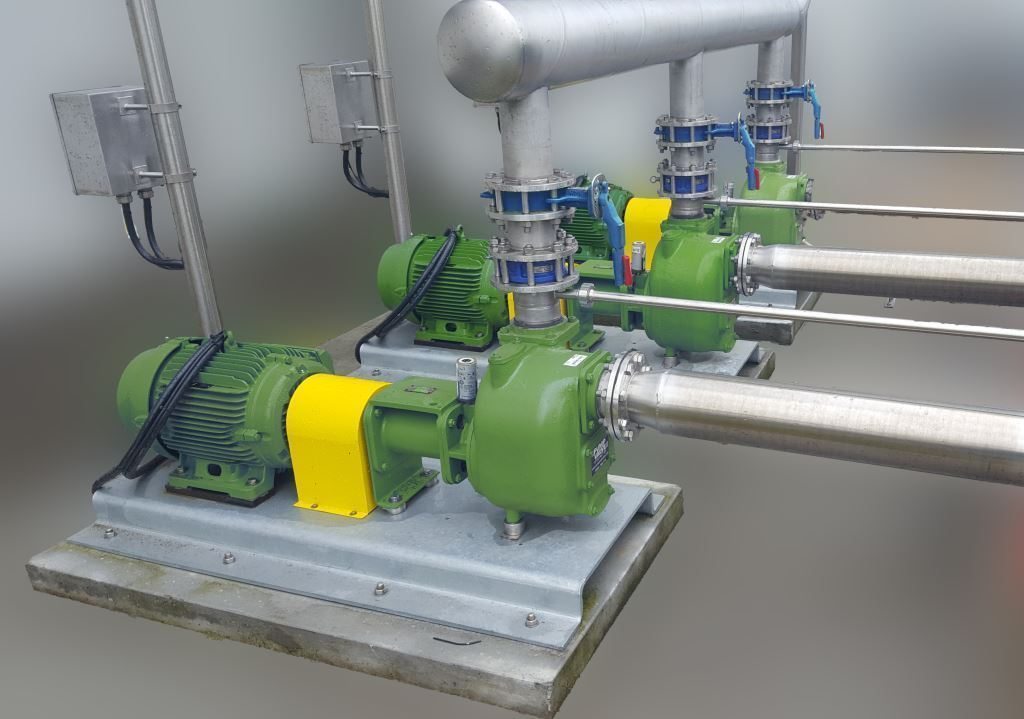 Original with Green Victors blurred